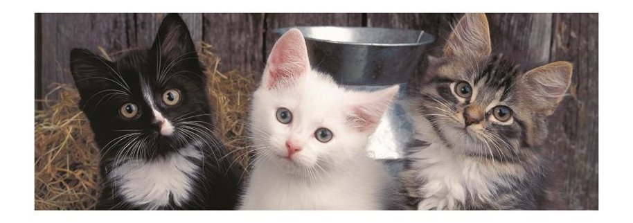 Panoramatické puzzle DINO Tři koťata 150 dílků