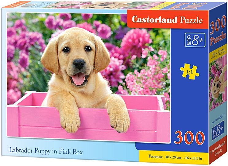 Puzzle CASTORLAND Labrador v růžovém truhlíku 300 dílků