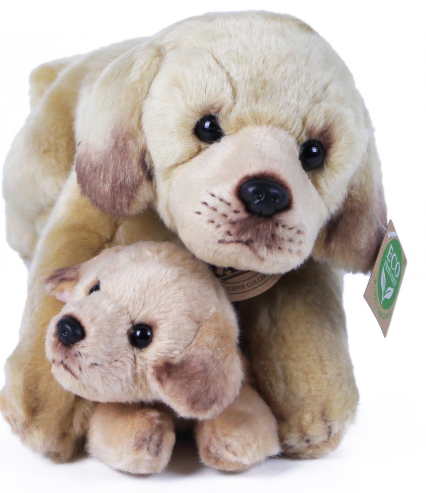 Plyšový pejsek Labrador se štěňátkem 31 cm