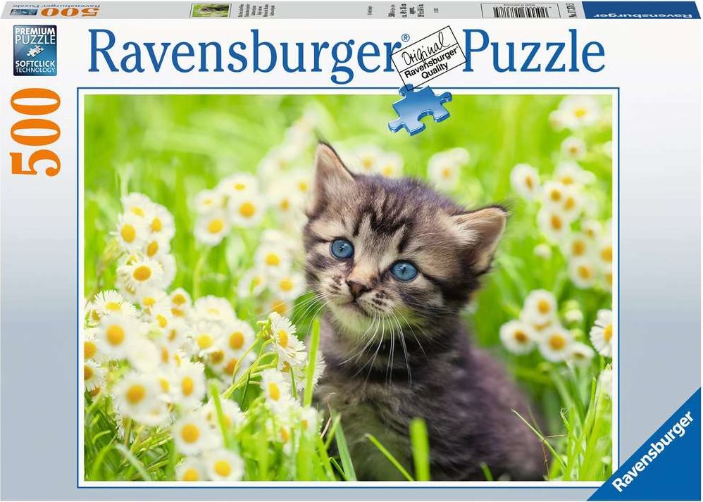 Puzzle RAVENSBURGER kotě mezi kopretinamii 500 dílků