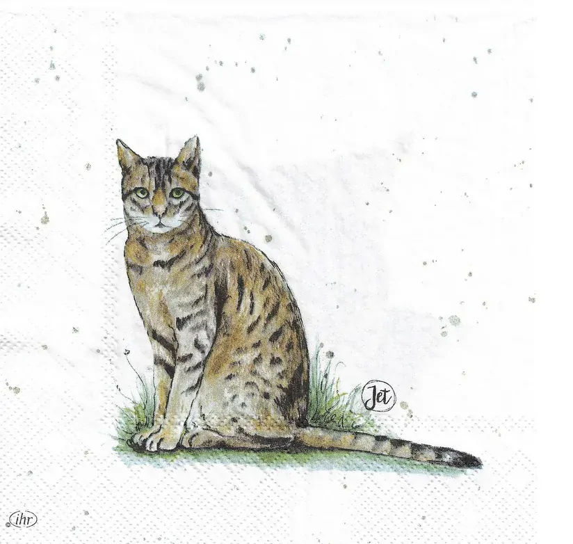 Ubrousky Kočka, 33 x 33 cm