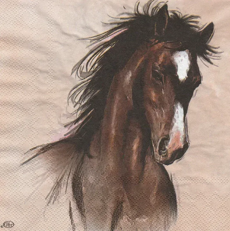 Ubrousky Koně, 33 x 33 cm