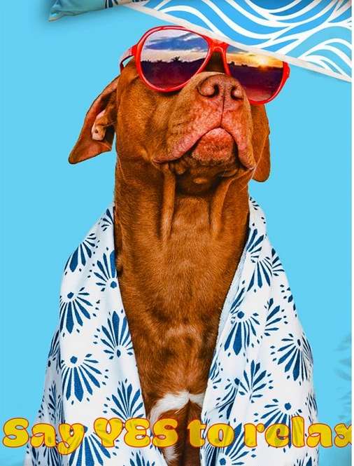 Bavlněné povlečení 3D Pitbull, 140x200 cm a 70x90 cm