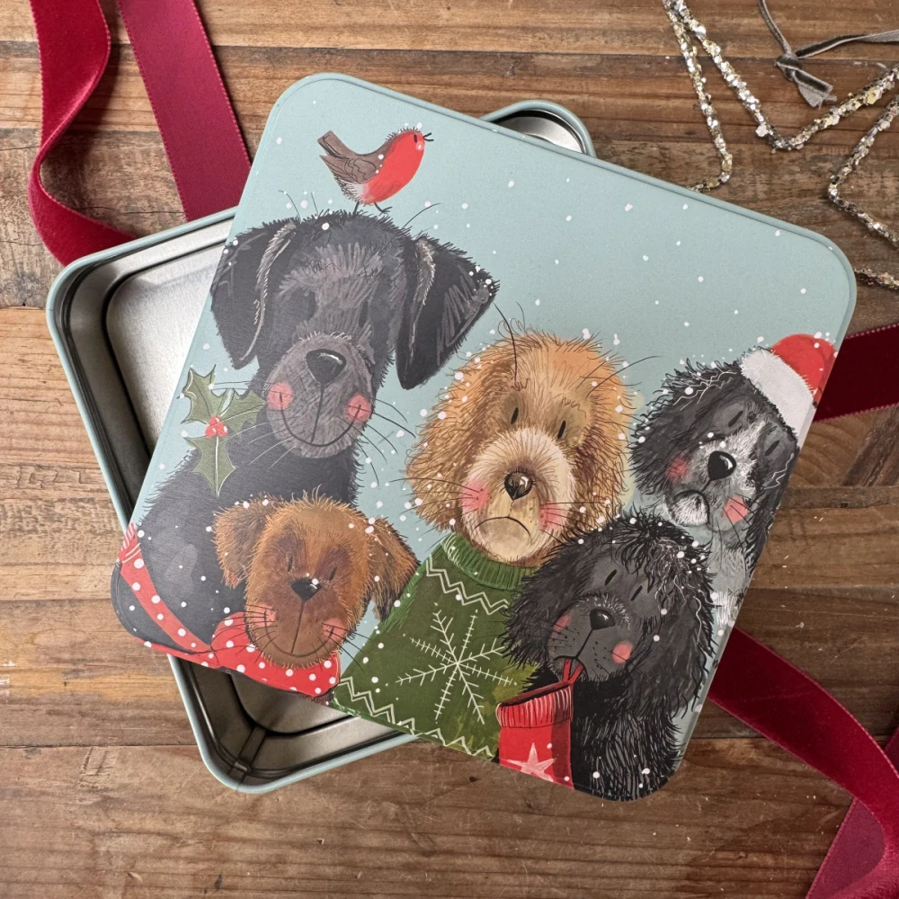 Dózička Festive Dogs 14*14 cm, Alex Clark