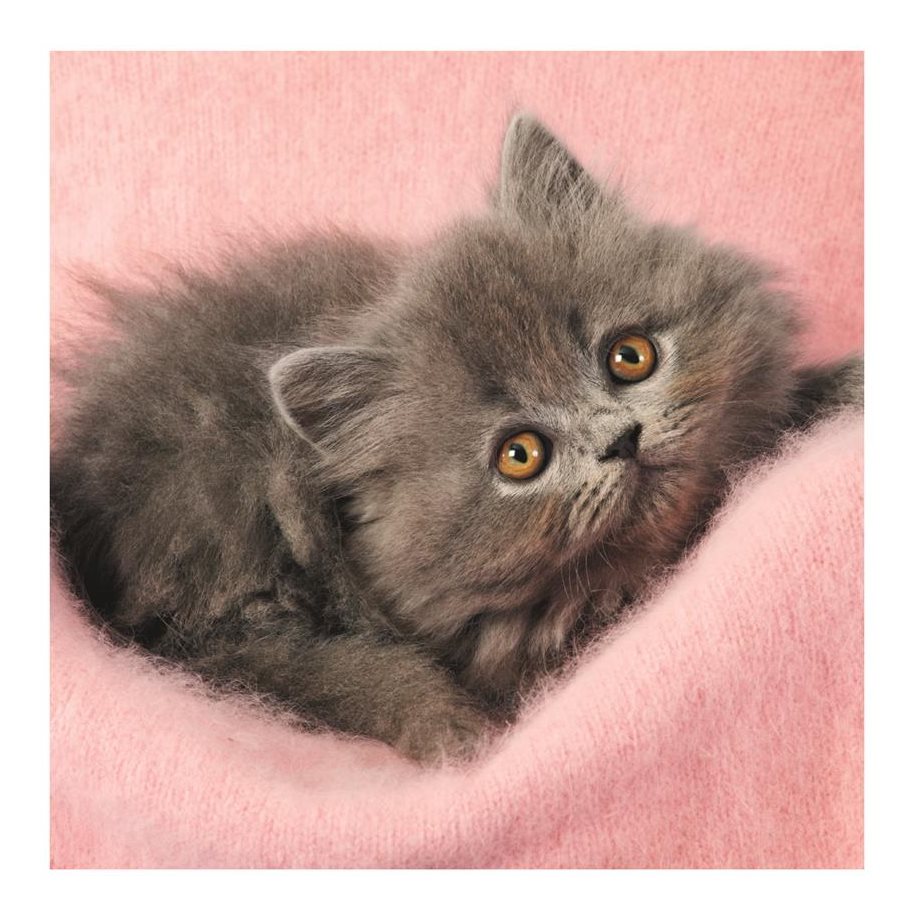 Puzzle DINO Koťata 3 v 1