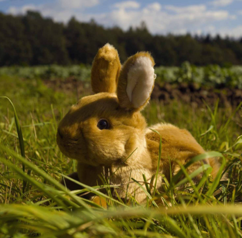 Plyšový králík hnědý 24 cm