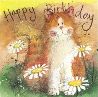 Přání kočka, v obálce  Cat and Daisies, ALX CLARK, 14*14 cm
