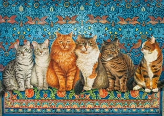 Puzzle Vznešené kočky 500 dílků