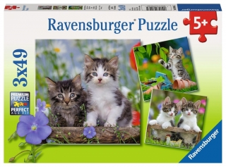 Puzzle RAVENSBURGER, Mourovatá koťata 3 x 49