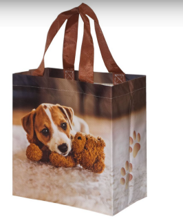 Taška svačinová s pejskem 26x27cm