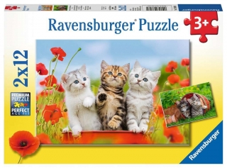 Puzzle RAVENSBURGER Koťata a vlčí máky  2 v 1