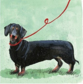 Přání v obálce Dachshund - Pejsci od ALEX CLARK