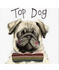 Podložka, podtácek Top dog, Alex Clark