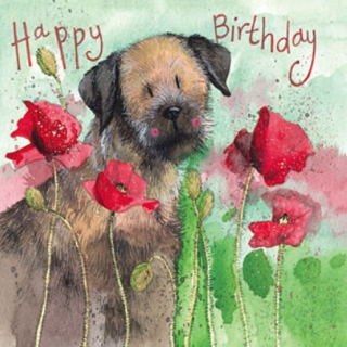 Přání v obálce Border terrier, Pejsci od ALEX CLARK 14*14 cm