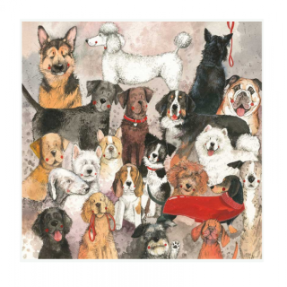 Přání v obálce Best of breed, Pejsci od ALEX CLARK 14*14 cm