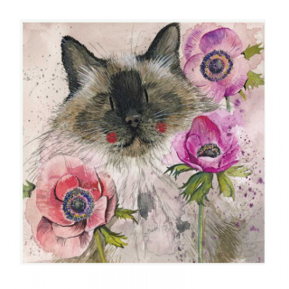 Přání v obálce Cat in the Anemomes, Alex Clark, 14*14 cm