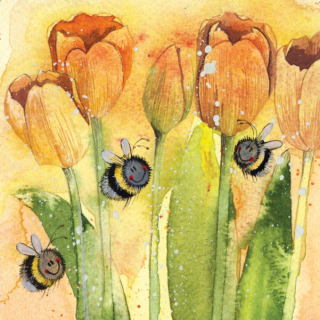 Přání v obálce Tulips od ALEX CLARK 14*14 cm