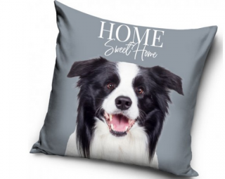 Povlak na polštář Border Kolie, 40x40 cm