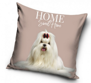 Povlak na polštář Maltézský psík, 40x40 cm