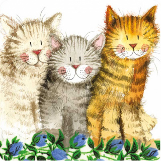 Podložka, podtácek The three amigos, Alex Clark