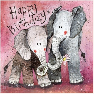 Přání v obálce The Two Nellies, Sloni od ALEX CLARK 14*14 cm