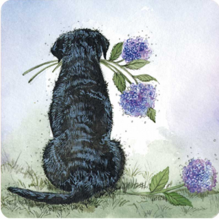 Podložka, podtácek Labrador and Hydrangea , Alex Clark