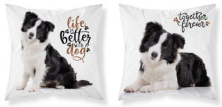 Povlak na polštář pejsek Border kolie, 40x40 cm