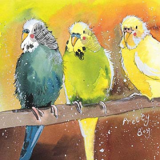 Přání v obálce Budgies,od ALEX CLARK 14*14 cm