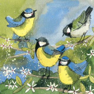 Přání v obálce Great tits,od ALEX CLARK 14*14 cm