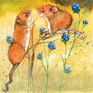 Přání v obálce Harvest mice, myšky od ALEX CLARK 14*14 cm