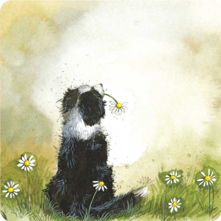Podložka, podtácek Collie and Daisies, Alex Clark
