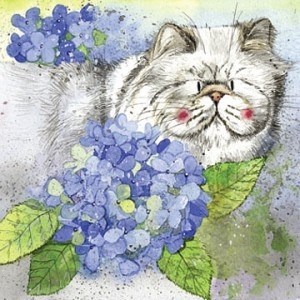Přání v obálce kočka, Cat in the hydrangea, Alex Clark, 14*14 cm