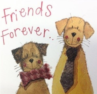 Přání v obálce Friends forever, ALEX CLARK 12*12 cm