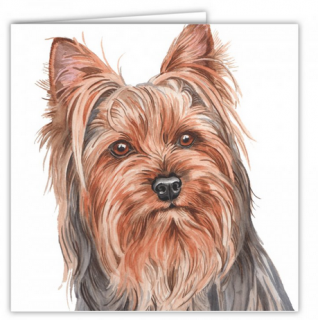 Přání v obálce Jorkšírský teriér, WD 16,5 x 16,5 cm