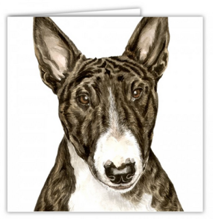 Přání v obálce Anglický bulteriér, WD 16,5 x 16,5 cm