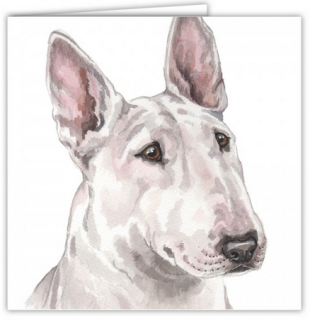 Přání v obálce Anglický bulteriér bílý, WD 16,5 x 16,5 cm