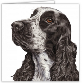 Přání v obálce Kokršpaněl, WD 16,5 x 16,5 cm