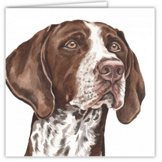 Přání v obálce Německý krátkosrstý ohař, WD 16,5 x 16,5 cm