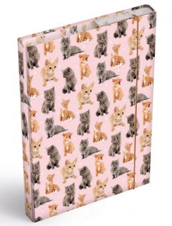BOX, desky na sešity Koťata A5