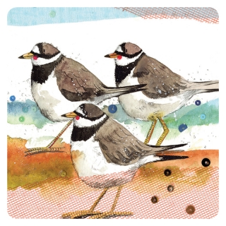 Podložka, podtácek, Ringed plovers Alex Clark