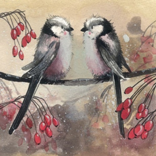 Přání v obálce Longtails, Ptáčci od ALEX CLARK 14*14 cm