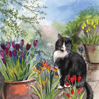 Přání v obálce Cat and Tulips, kočky od Alex Clark 14*14 cm