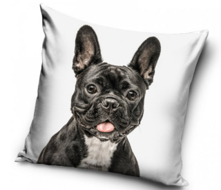Povlak na polštář pejsek Francouzský buldoček černý, 40x40 cm