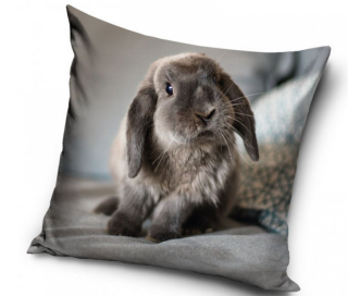 Velurový povlak na polštář Zakrslý králíček 40x40cm