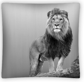 Povlak na polštář 3D Lev 40x40 cm