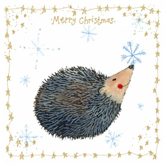 Přání s obálkou vánoční Hedgehog, ALEX CLARK 10*10 cm