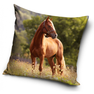 Povlak na polštář Kůň na louce II, 40x40 cm