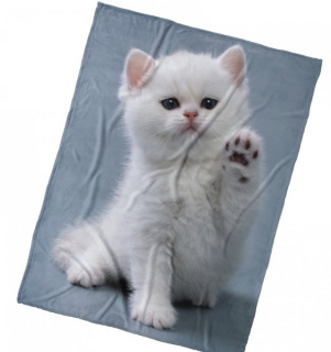 Deka mikroplyšová Bílé kotě 150*200 cm
