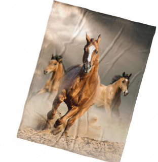 Deka mikroplyšová Cválající koně 150*200 cm