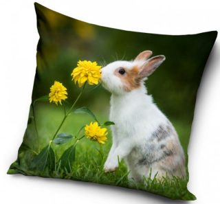 Povlak na polštář Králíček na Louce, 40x40cm